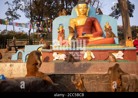 Assam Makaken-Affen umgeben eine Statue des Buddha im Swayambhunath Tempel in Kathmandu, Nepal. Stockfoto