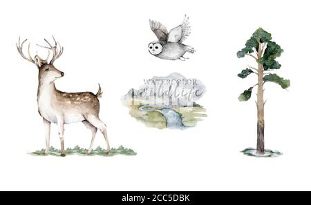 Waldtiere. Realistische Winter niedlich Wandern Tierwelt Fuchs, Hirsch, Eule und Landschaft isoliert Illustration auf weißem Hintergrund. Wilde mit Wildtieren Stockfoto