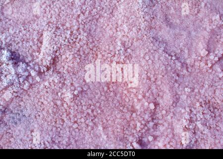 Salz, Sole und Schlamm aus rosa salzigen Sivash See in der Nähe Asowschen Meer, gefärbt von Mikroalgen Dunaliella salina, Anreicherung des Wassers des Sees durch Beta-Carotin Stockfoto