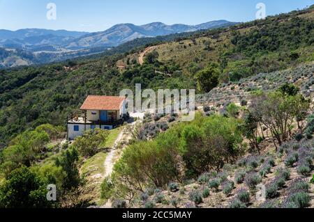 Blick von der Aussichtsplattform auf die Lavendelfelder auf dem unteren Teil des Bauernhofes "O Lavandario" und das Haus, das für die Produktion von Derivaten verwendet wurde. Stockfoto