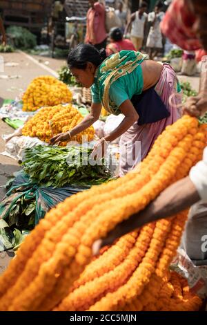 Verkäufer kaufen und verkaufen wunderschöne Girlanden aus Ringelblumen und Lotusblumen auf dem Mullick Ghat Blumenmarkt in Kalkutta, Indien, Südostasien. Stockfoto