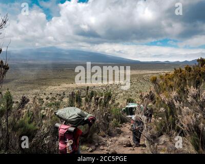 Guides Träger und sherpas tragen schwere Säcke, während sie den kilimandscharo besteigen, den höchsten Gipfel in afrika. Stockfoto