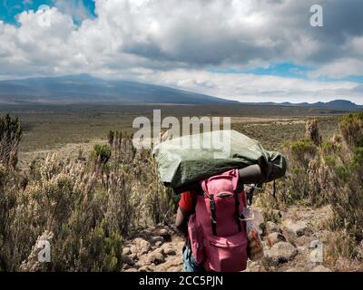 Guides Träger und sherpas tragen schwere Säcke, während sie den kilimandscharo besteigen, den höchsten Gipfel in afrika. Stockfoto