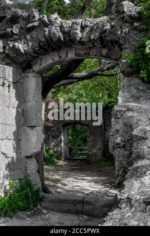 Mystic Door of Decayed Building von EINEM Gnarly Tree überwuchert Stockfoto