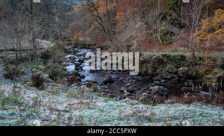 Ein frostiger Herbstmorgen in Campsie Glen mit dem Kirk Burn, der durch das glen läuft. Stockfoto