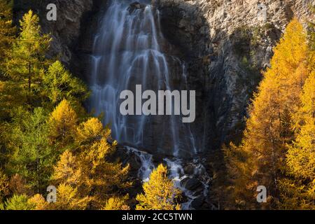 Wasserfall La Pisse im Herbst mit goldenen Lärchen im Regionalpark Queyras. Ceillac, Hautes-Alpes, Alpen, Frankreich Stockfoto