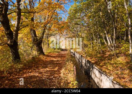 GAP Kanal in vollen Herbstfarben. Stadt Gap, Hautes-Alpes (05), Französische Alpen, Frankreich Stockfoto