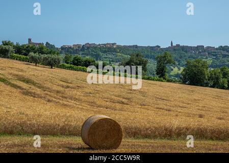 Recanati, die Stadt der Marken in der Provinz Macerata, berühmt als Geburtsort des großen italienischen Dichters Giacomo Leopardi Stockfoto