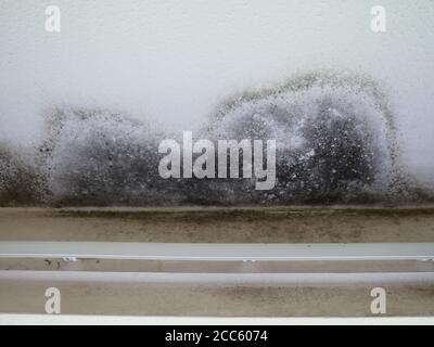 Schimmelbildung an der Decke in Wohnimmobilien Stockfoto