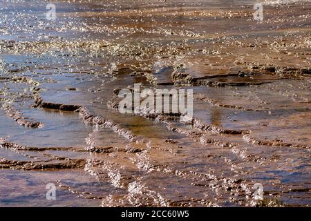 Glitzerndes Mineralwasser fließt über die heißen Quellterrassen im Mammoth Hot Springs Gebiet des Yellowstone Nationalparks. Abstrakte Ansicht, nützlich für backgr Stockfoto