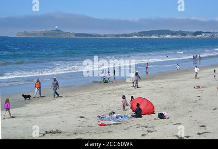 Familien Picknick Spaziergang Hund am miramar Strand in der Nähe Halbmond bay in Nordkalifornien während der covid 19 soziale Distanzierung Mandat Stockfoto