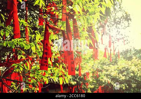 Zhangjiajie, China - 10. Mai 2017: Detail der roten Bänder im Wish Forest Zhangjiajie Nationalpark, China. Stockfoto