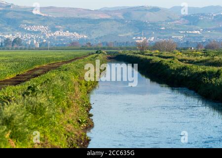 Israel, Hula-Tal, der Fluss Jordan, wie er durch das Hula-Tal passiert, fotografiert im Winter Stockfoto