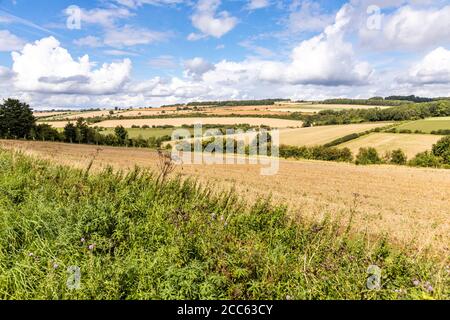 Eine offene, hügelige Cotswold-Landschaft mit geernteten Feldern im August in der Nähe des Weilers Hampen, Gloucestershire, Großbritannien