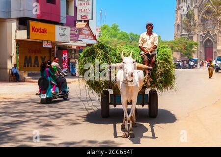 MYSORE, INDIEN - 25. MÄRZ 2012: unbekannter Mann reiten Stier Warenkorb in Indien Stockfoto