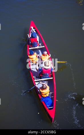 06. August 2020, Mecklenburg-Vorpommern, Diemitz: Eine Familie paddelt in der Mecklenburgischen Seenplatte. Tausende Urlauber reisen derzeit in der Mecklenburgischen Seenplatte mit dem Boot, Fahrrad oder als Wanderer. Foto: Jens Büttner/dpa-Zentralbild/ZB Stockfoto