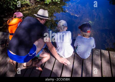 06. August 2020, Mecklenburg-Vorpommern, Fleether Mühle: Kinder beobachten Fische im Wasser auf einem Holzsteg am Vilzsee bei der Fleether Mühle. Tausende Urlauber reisen derzeit in der Mecklenburgischen Seenplatte mit dem Boot, Fahrrad oder zu Fuß. Foto: Jens Büttner/dpa-Zentralbild/ZB Stockfoto