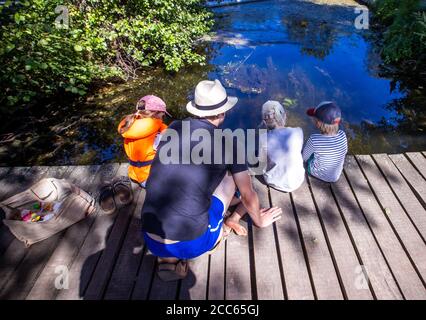 06. August 2020, Mecklenburg-Vorpommern, Fleether Mühle: Kinder beobachten Fische im Wasser auf einem Holzsteg am Vilzsee bei der Fleether Mühle. Tausende Urlauber reisen derzeit in der Mecklenburgischen Seenplatte mit dem Boot, Fahrrad oder zu Fuß. Foto: Jens Büttner/dpa-Zentralbild/ZB Stockfoto