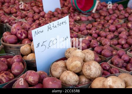 Neue Kartoffeln mit Schild in produzieren Bushel Körbe an der Bauernmarkt Stockfoto