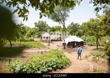 Flüchtlinge aus dem Südsudan leben in behelfsmäßigen, mit Planen bedeckten Lehmhäusern und Grasbüschel-Häusern in der Palabek-Flüchtlingssiedlung im Norden Ugandas, Ostafrika. Stockfoto