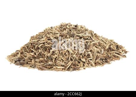 Brennnesselwurzel Kraut in der Kräutermedizin verwendet, um Arthritis, Haarausfall, Nierensteine, Harnwegsinfektionen & Entzündungen zu behandeln & ist ein Diuretikum Stockfoto