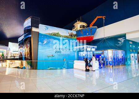 DUBAI, VAE - 26. FEBRUAR 2019: Dubai Aquarium und Unterwasser Zoo in der Dubai Mall in VAE Stockfoto