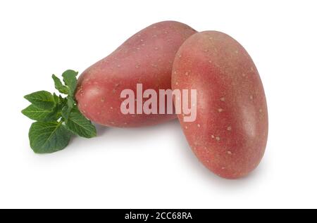 Studioaufnahme von Kartoffeln mit roter Haut, die gegen eine ausgeschnitten wurden Weißer Hintergrund - John Gollop Stockfoto