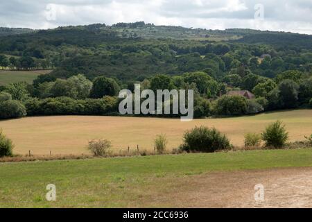 Landschaft im Ashdown Forest, Hartfield, East Sussex, Großbritannien Stockfoto