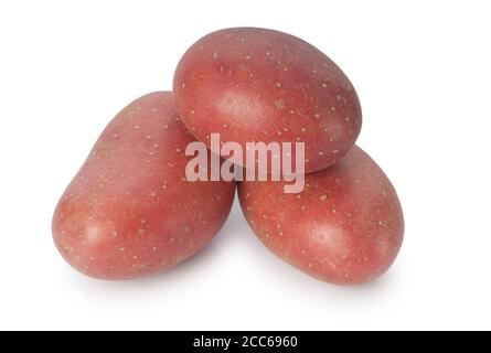 Studioaufnahme von Kartoffeln mit roter Haut, die gegen eine ausgeschnitten wurden Weißer Hintergrund - John Gollop Stockfoto