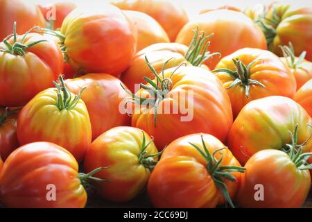 Frische Erbstück Tomaten Hintergrund, Bio-Produkte auf einem Bauernmarkt Stockfoto