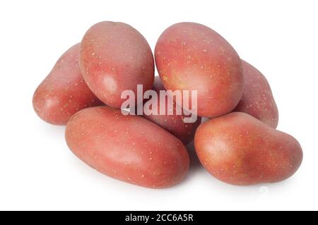 Studioaufnahme von Kartoffeln mit roter Haut, die gegen eine ausgeschnitten wurden Weißer Hintergrund - John Gollop Stockfoto