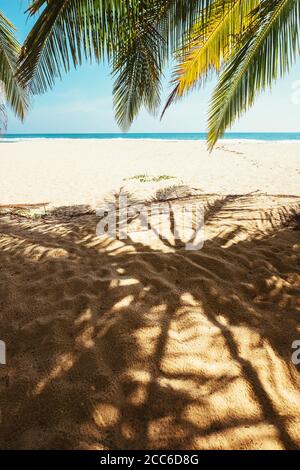 Palmenschatten auf dem Sand Stockfoto