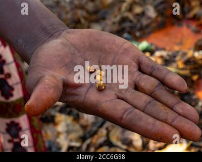 Mais gesegnet in einer Voodoo-Zeremonie auf einer männlichen Hand. Dankoli, Benin Stockfoto