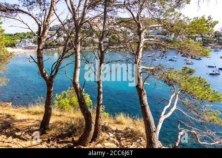 Blick hinunter durch Pinien auf den Klippen auf das türkisfarbene Wasser von Cala Montgó an der Costa Brava, mit einigen Booten im Wasser, Katalonien Stockfoto