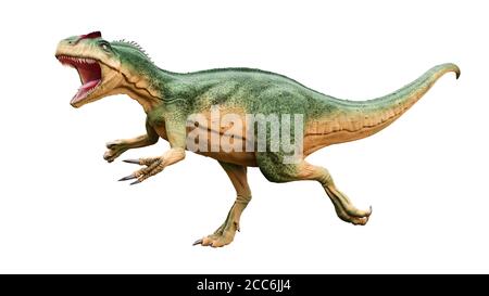 Allosaurus fragilis mit Angriff oder aggressive Pose isoliert auf weißem Hintergrund. Dinosaurier realistische und wissenschaftliche Rekonstitution. 3D-Rendering illust Stockfoto