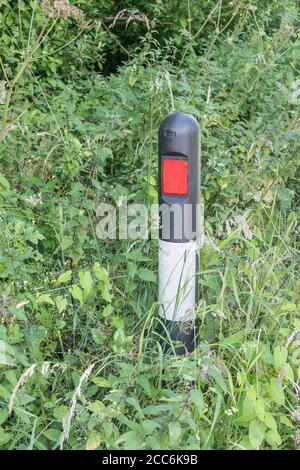 Masse der Straßenrändern Unkräuter verschlingen reflektierende Marker Pfosten im Gras Rand der Landstraße. Metapher überwuchert, überschwemmt, Unkraut, umgeben von allen Seiten Stockfoto