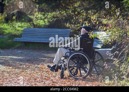 Zürich, Schweiz - 16. November 2014 - ein alter Mann sitzt im Rollstuhl und genießt die Nachmittagssonne im Spätherbst. Foto aufgenommen in Irchel p Stockfoto