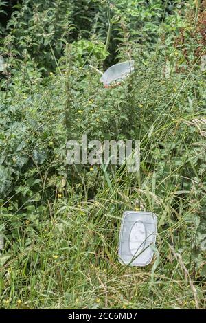 Plastikbehälter zum Mitnehmen an der Landstraße. Hoch oben in Unkraut am Straßenrand gelegen, als hätte jemand das Autofenster geöffnet und es einfach abgekippt. Stockfoto