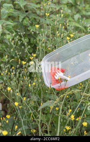 Plastikbehälter für Lebensmittel zum Mitnehmen auf der Landstraße. Hoch oben in Unkraut am Straßenrand, als würde man es aus dem Autofenster werfen. Verbot von Einwegkunststoffen. Stockfoto