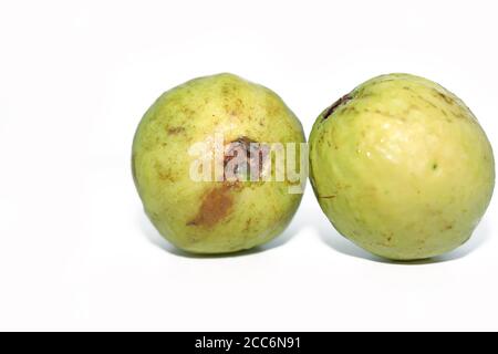 Rosa Guava isoliert auf weißen Hintergründen Stockfoto