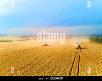 Luftdrohnenansicht: Mähdrescher arbeiten im Weizenfeld bei Sonnenuntergang. Erntemaschine Fahrer Schneiden Ernte in Ackerland. Ökologischer Landbau Stockfoto