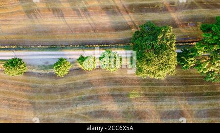 Luftaufnahme über ein Feld mit einem Pfad Stockfoto