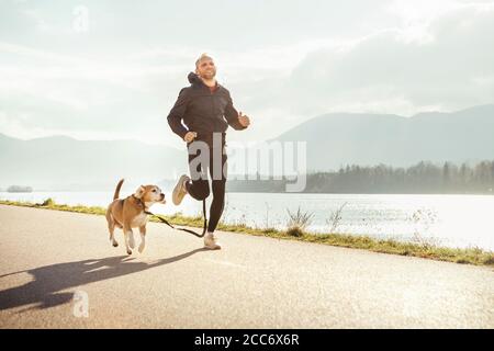 Morgendliches Joggen mit Haustier: Der Mann läuft mit seinem Beagle-Hund zusammen Stockfoto