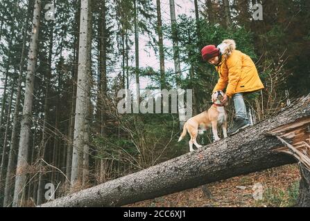 Junge im leuchtend gelben Parka geht mit seinem Beagle-Hund Im Kiefernwald auf dem fallenden Baum Stockfoto