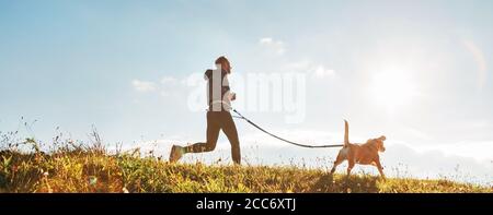 Canicross Übungen. Der Mensch läuft mit seinem Beagle-Hund am sonnigen Morgen. Gesundes Lifestyle-Konzept. Stockfoto