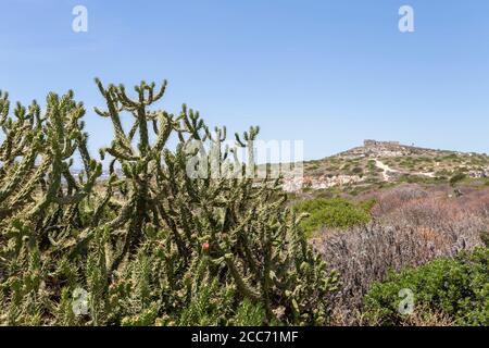 Fort von Sant'Ignazio in der Stadt Cagliari in Sardinien, Italien an einem heißen Sommertag. Stockfoto