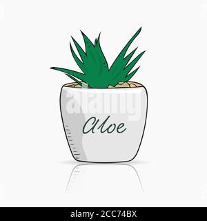 Handgezeichnete Aloe Vera in einem kleinen weißen Keramiktopf. Wunderschöne florale Designelemente. Vereinfachte Vektordarstellung Stock Vektor