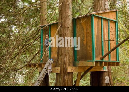 Baumhaus in Wäldern auf ländlichem Grundstück mit 13-jähriger Junge in ihm in Issaquah, Washington, USA Stockfoto