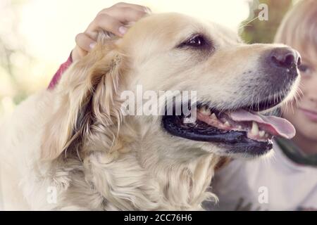 Kleiner Junge streichelt seinen Hund mit Süße Stockfoto