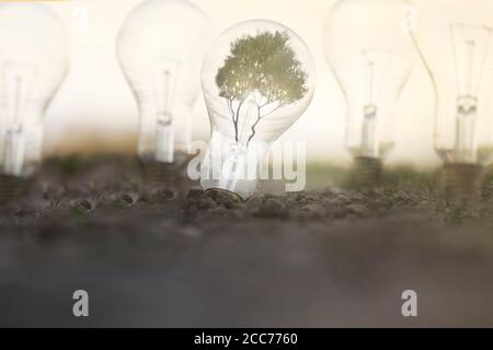 Erneuerbare Energie mit Glühbirnen, die Energie von der Sonne, von Pflanzen und dem Land nehmen Stockfoto